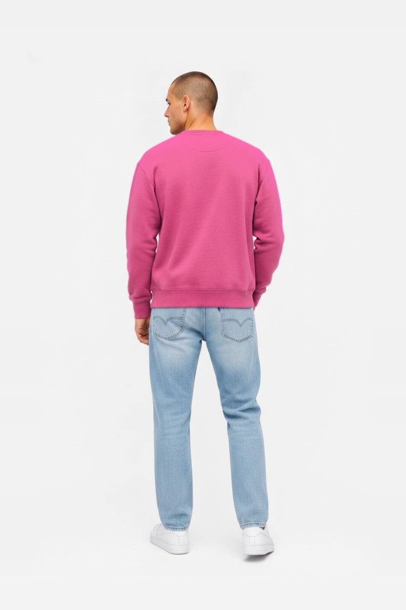 Crewneck oversize LIGHT BRUSHED PEONY