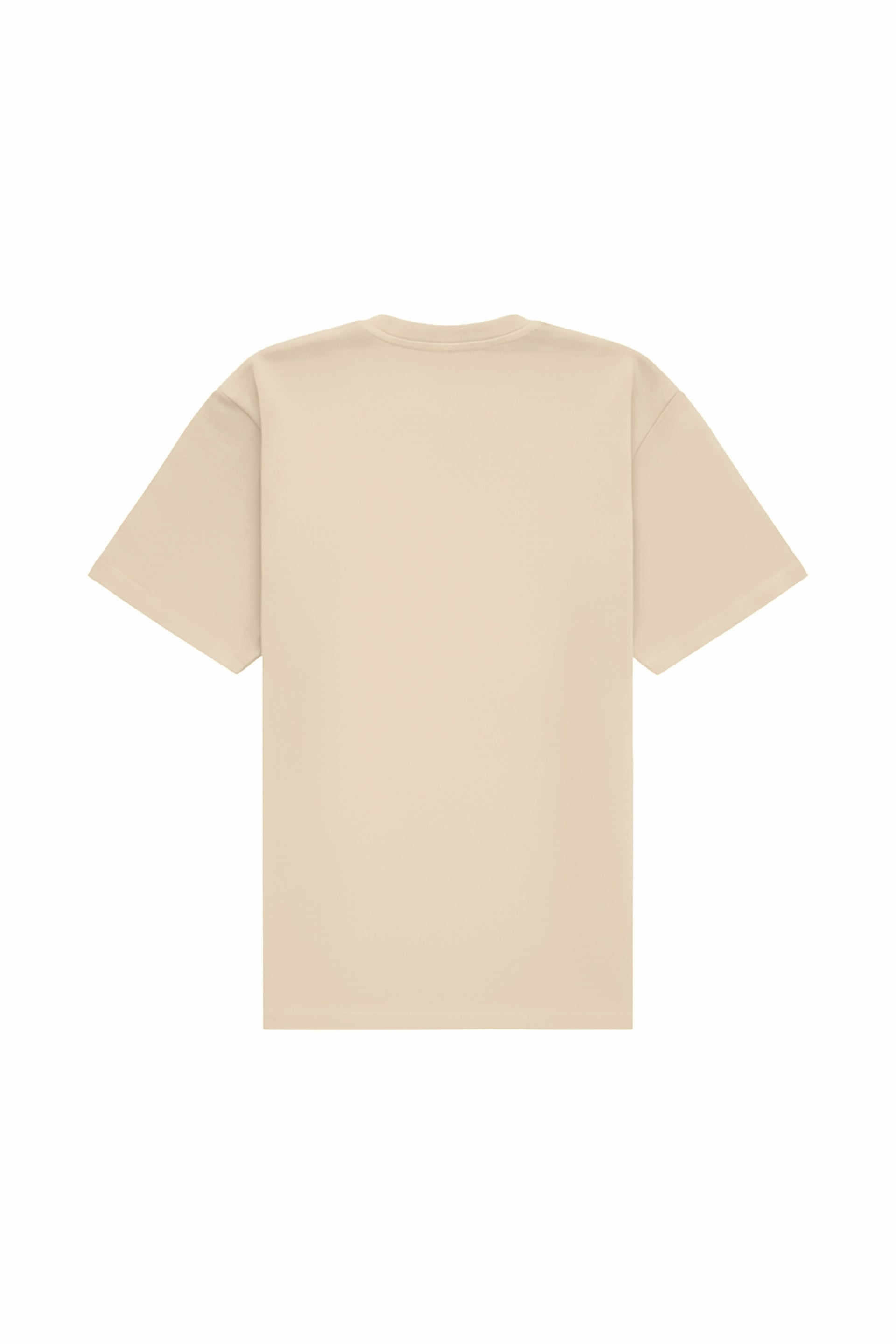 Regular T-shirt in 2 variants