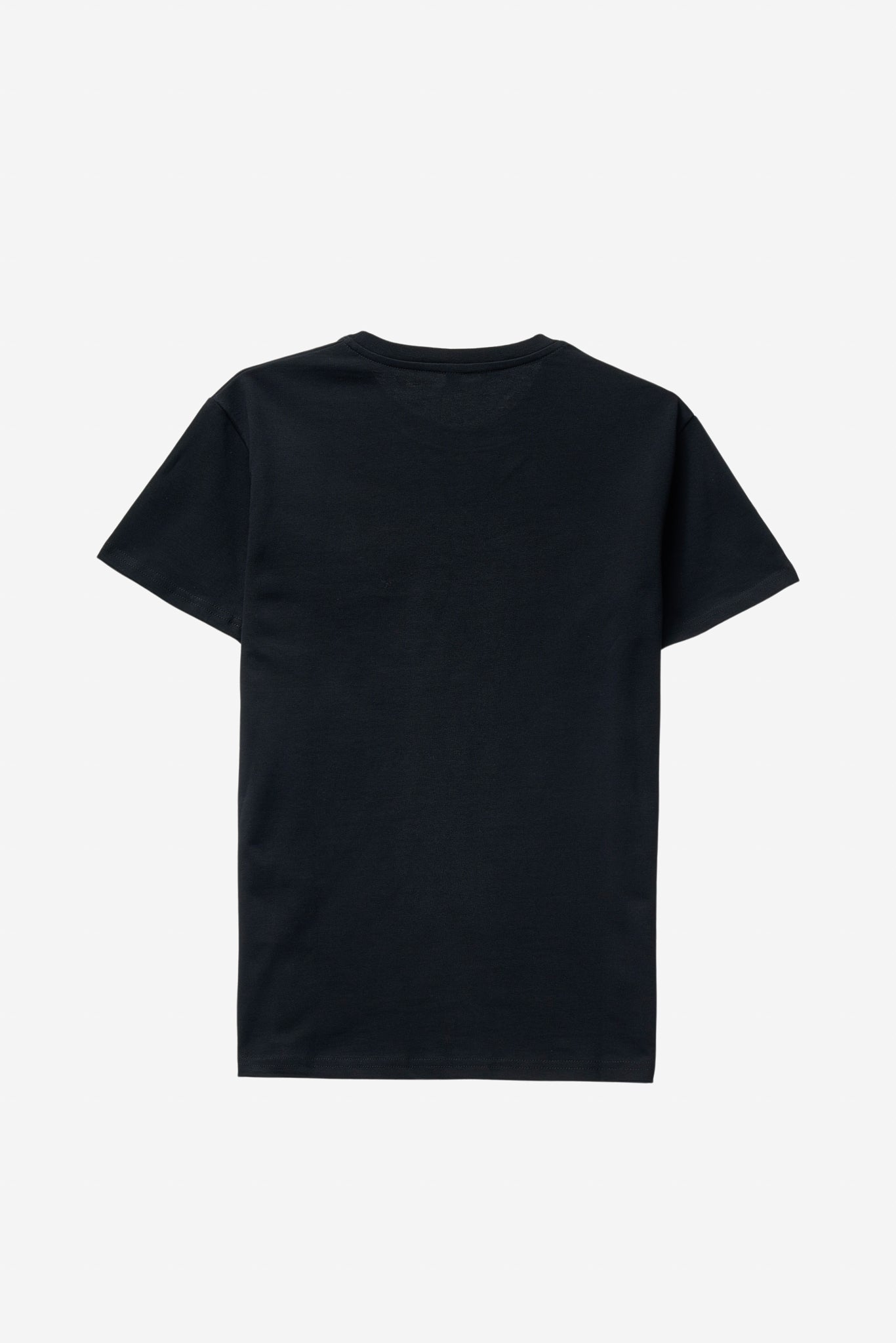 Regular T-shirt in 2 variants