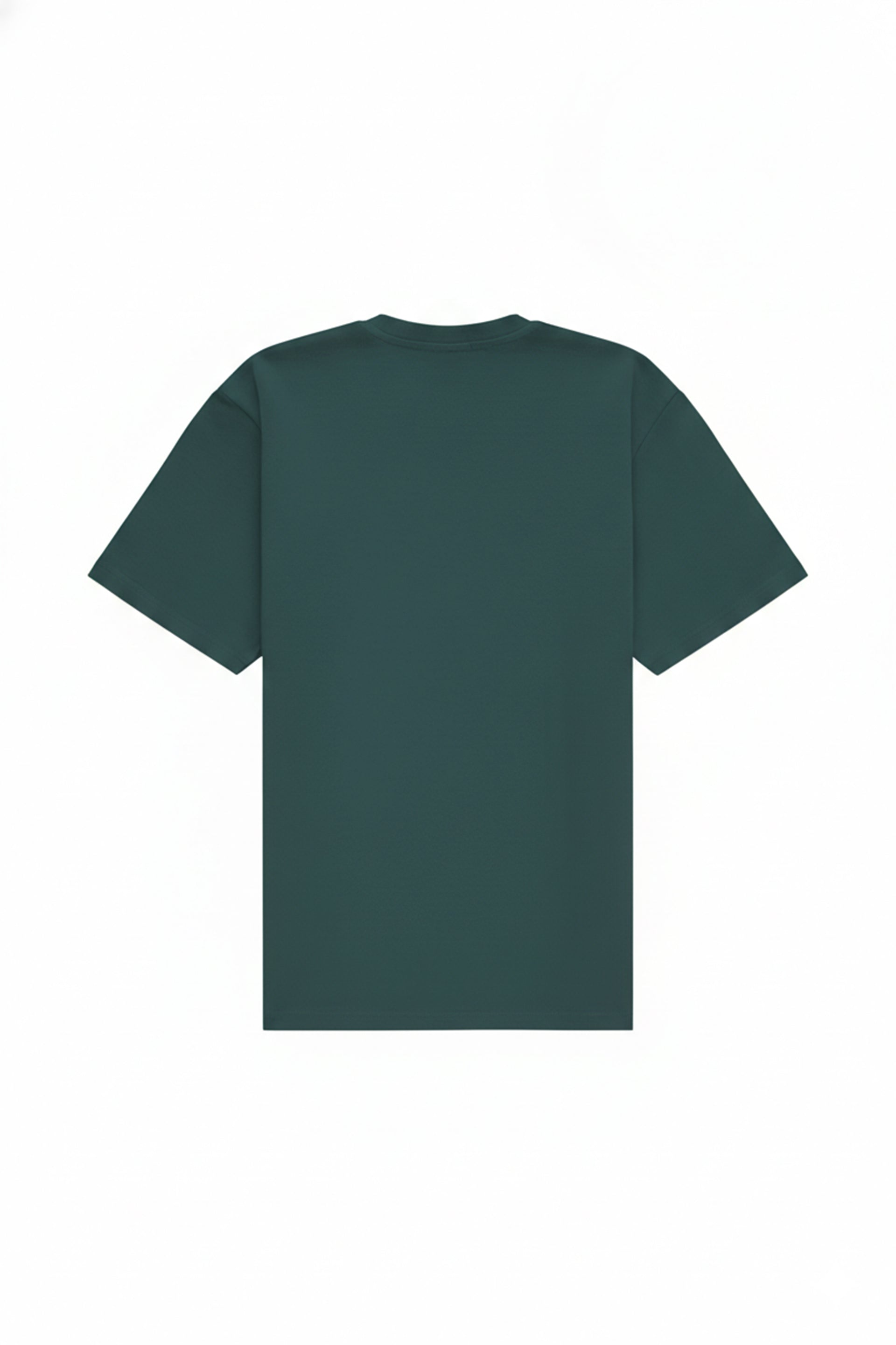 Regular T-shirt in 2 variants