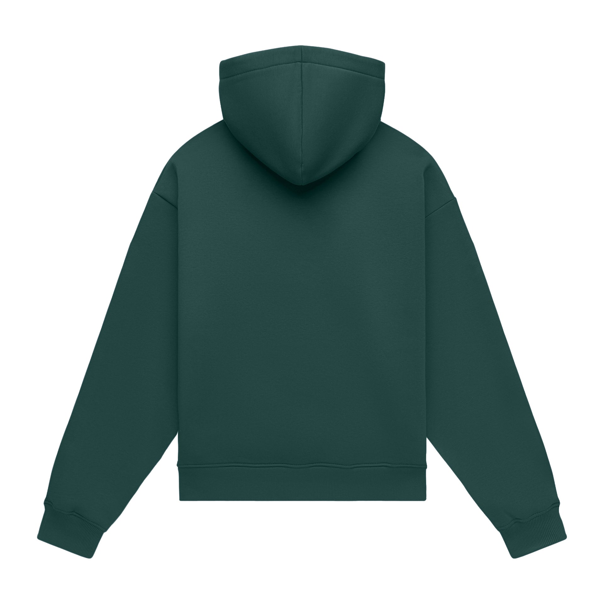 Hoodie oversize LIGHT BRUSHED VERDE