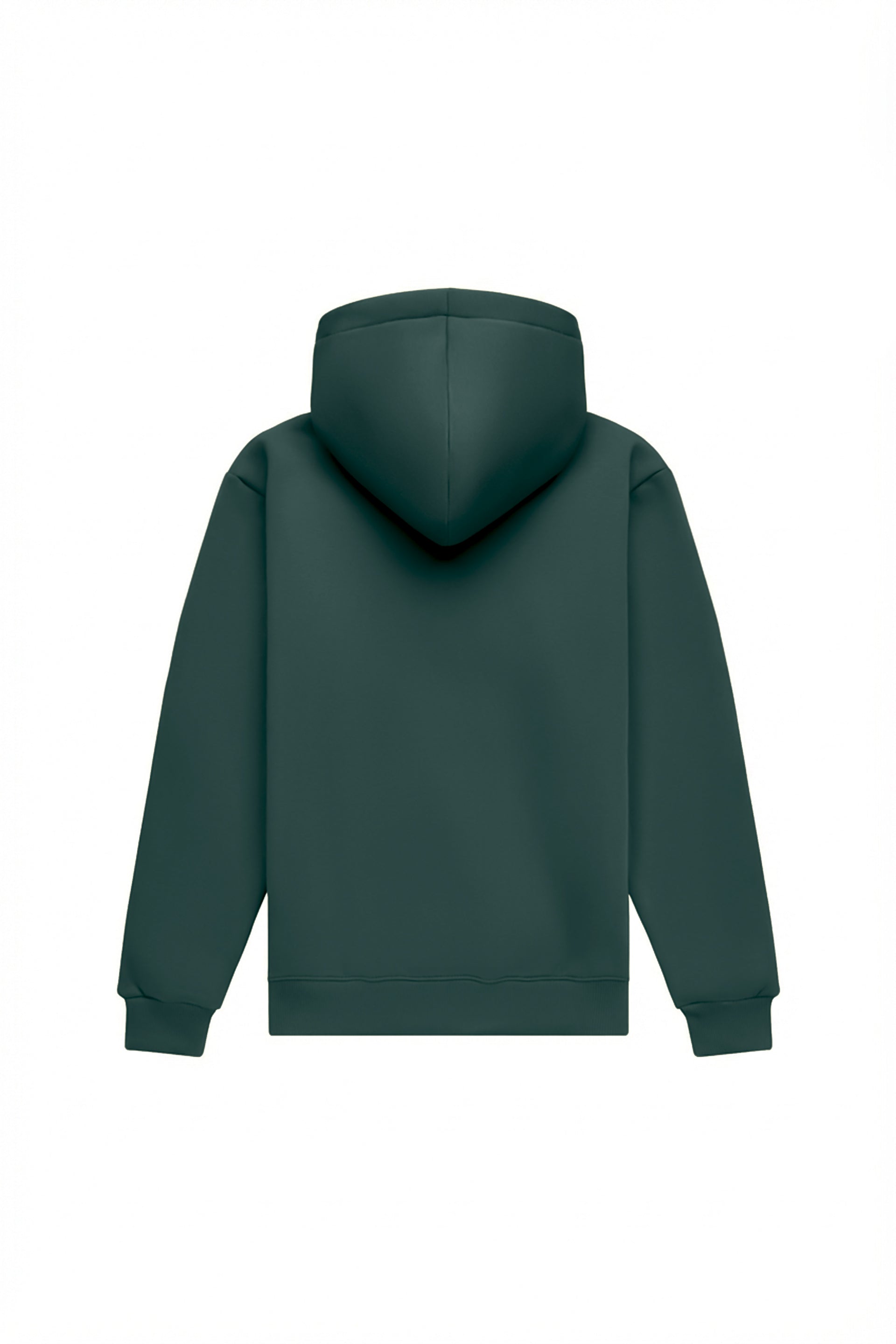Hoodie regular LIGHT BRUSHED VERDE