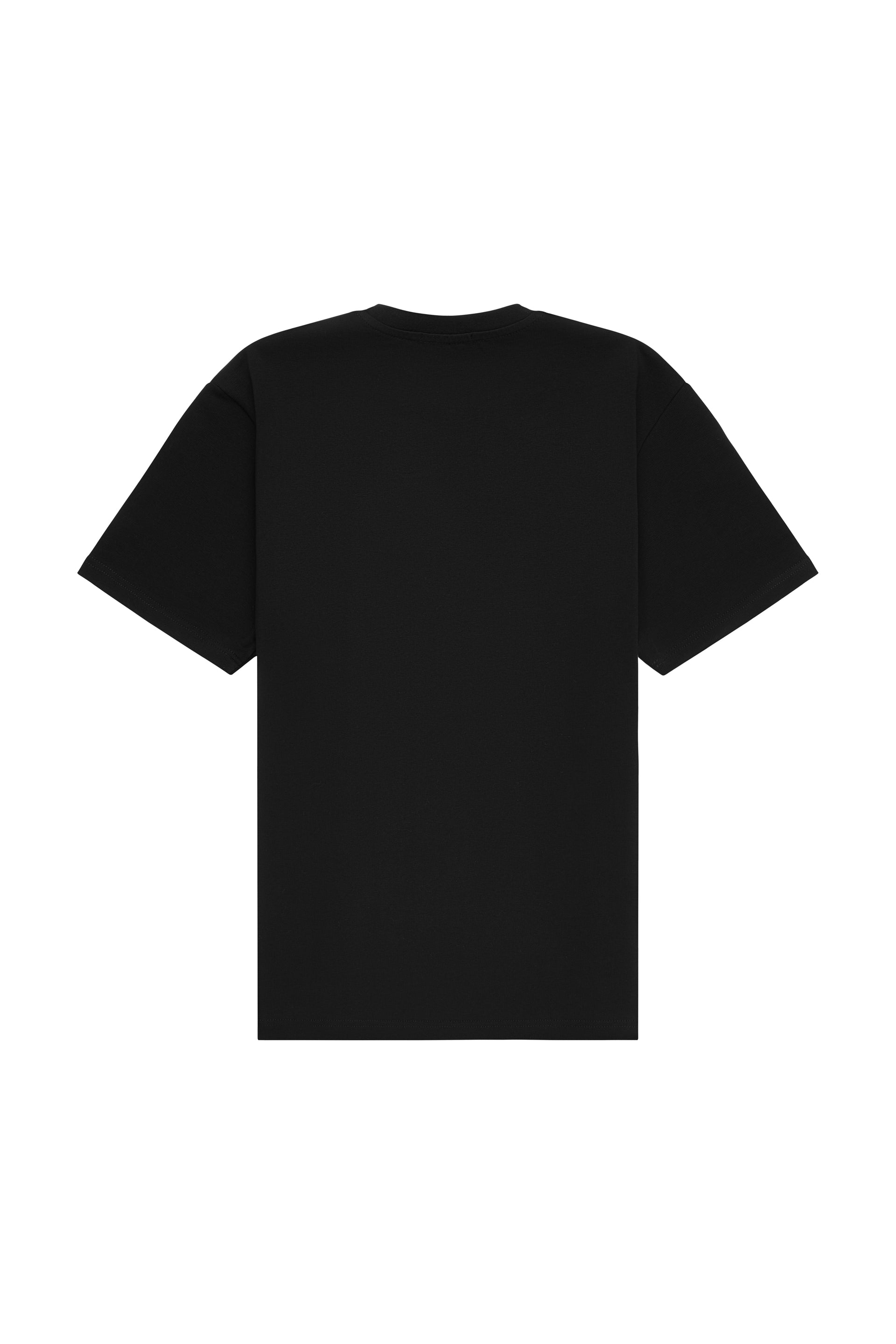 Oversized T-shirt in 2 variants