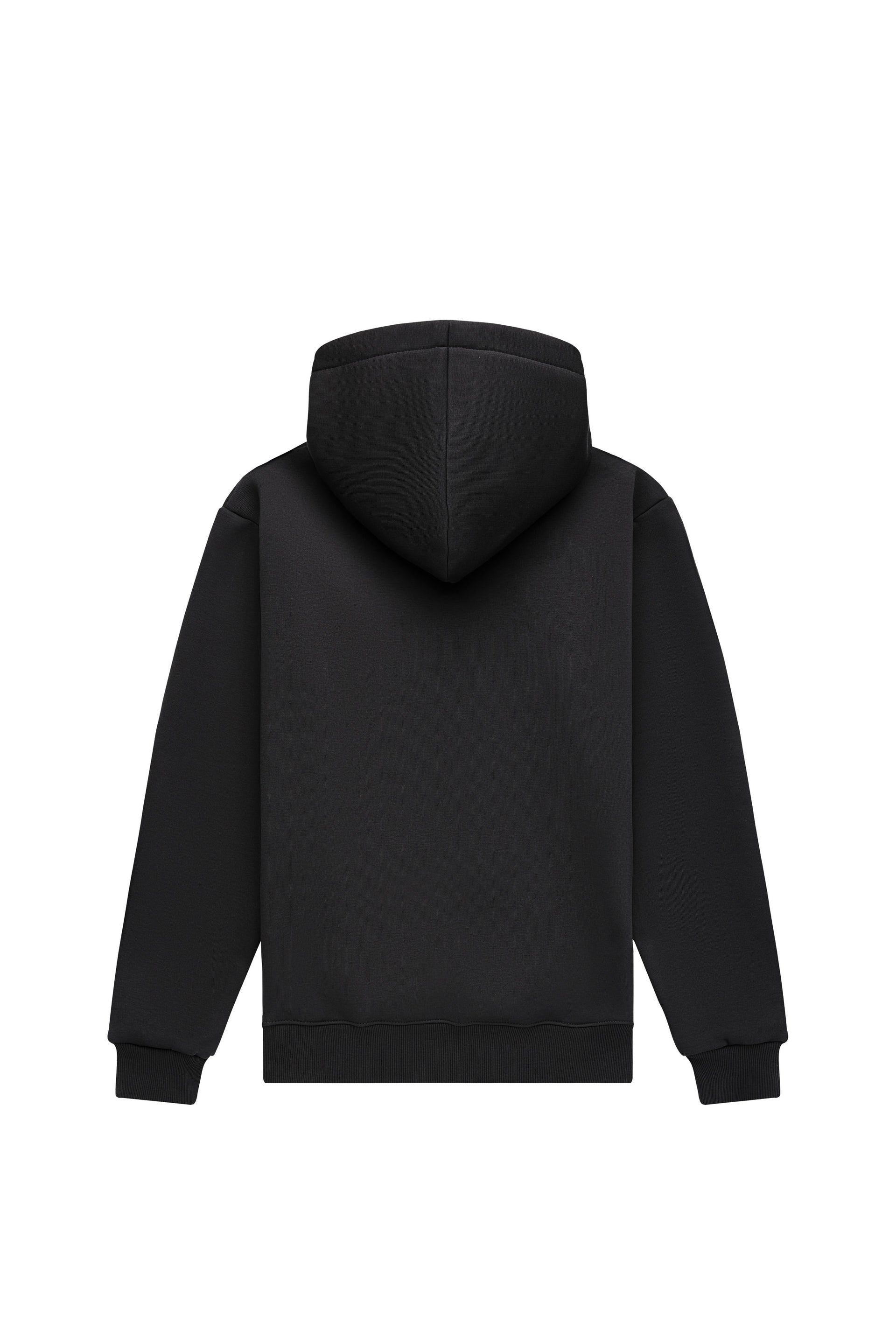 Hoodie regular LIGHT BRUSHED BLACK